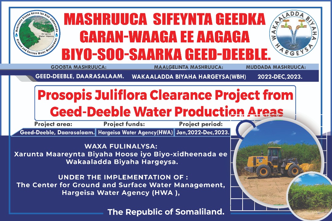 HWA efforts in controlling the Invasive Prosopis Juliflora in Geed-Deeble Aquifer Area in Somaliland